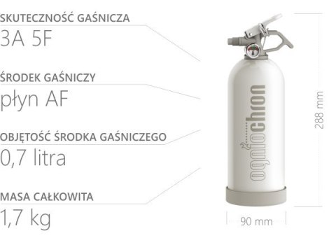 Gaśnica domowa 1kg ABF - DOMOWY STRAŻAK - biały