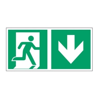 Znak 11 Kierunek do wyjścia ewak.E02-DD 200x400 PF