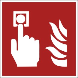 Znak F005 Alarm pożarowy plik elektroniczny
